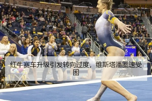 红牛赛车升级引发转向过度，维斯塔潘圈速受困