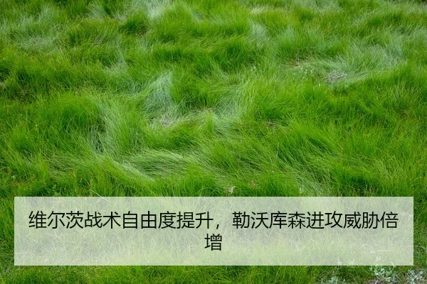 wei-er-ci-zhan-shu-zi-you-du-ti-sheng-lei-wo-ku-sen-jin-gong-wei-xie-bei-zeng-3-152.jpg