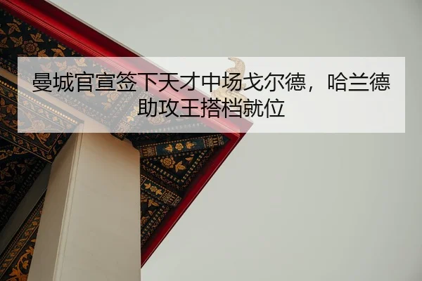 man-cheng-guan-xuan-qian-xia-tian-cai-zhong-chang-ge-er-de-ha-lan-de-zhu-gong-wang-da-dang-jiu-wei-2-393.jpg
