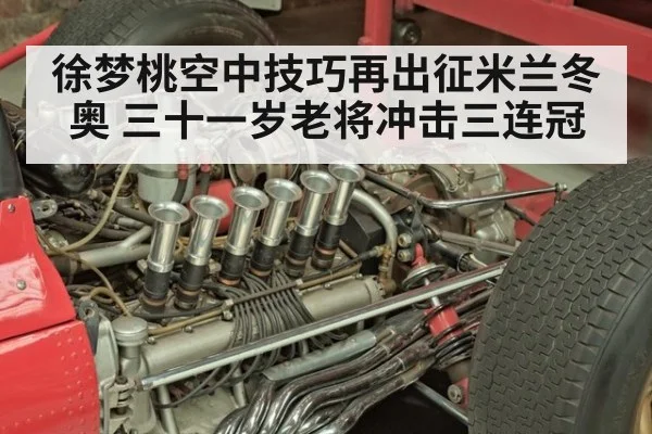 徐梦桃空中技巧再出征米兰冬奥 三十一岁老将冲击三连冠