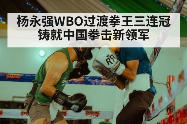 杨永强WBO过渡拳王三连冠铸就中国拳击新领军